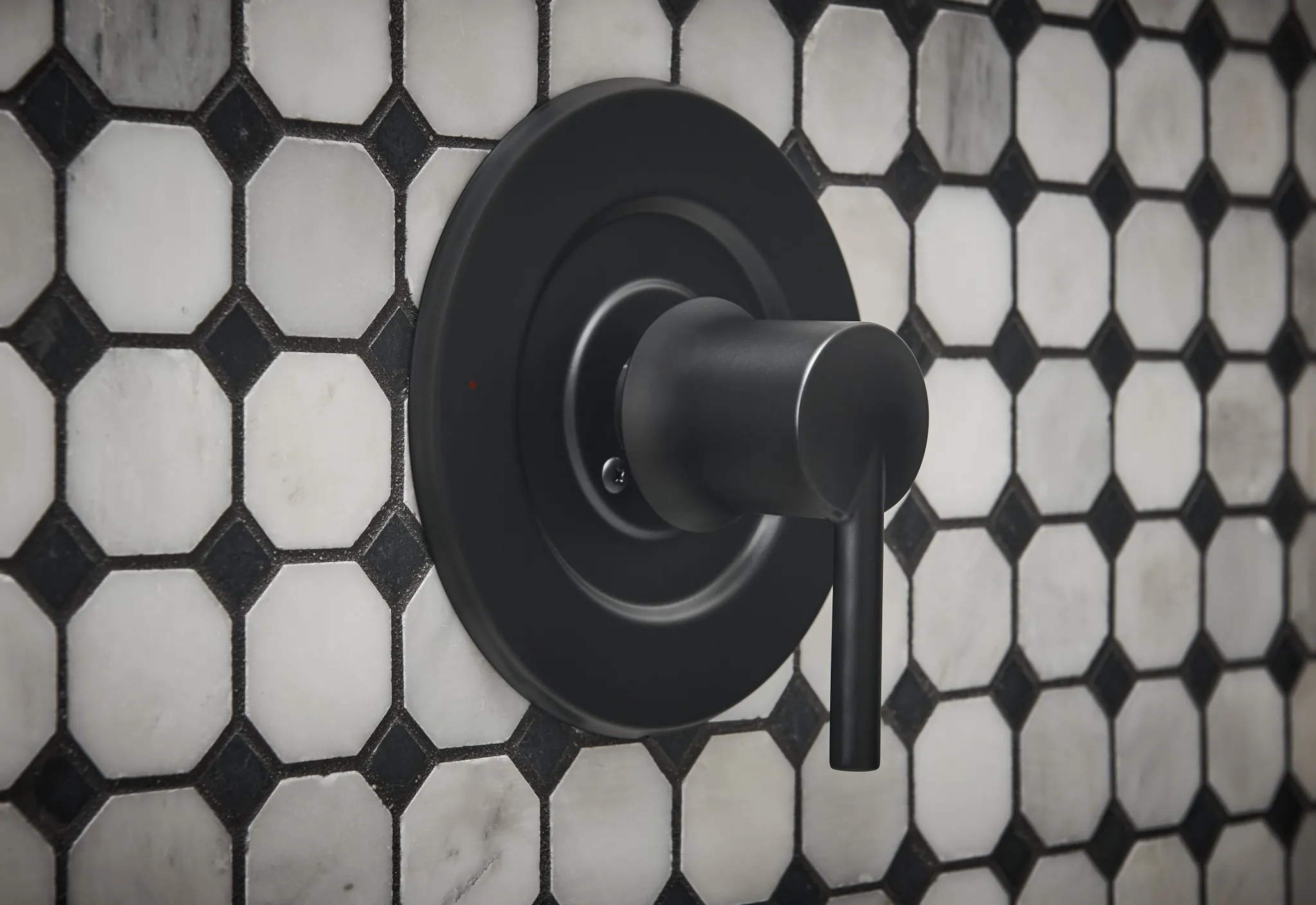 Arlys Posi-Temp(r) Tub/Shower