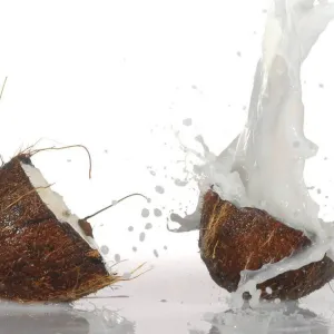 Coconut & Vetiver Fragrance Oil