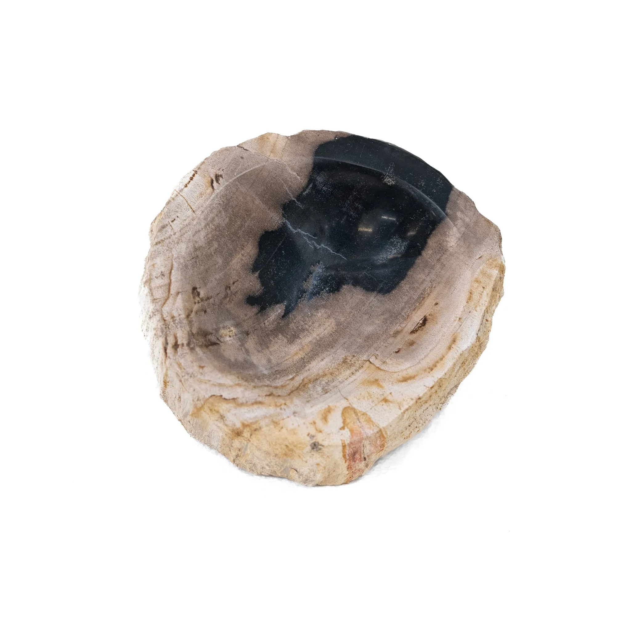 Jed Petrified Wood Soap Dish