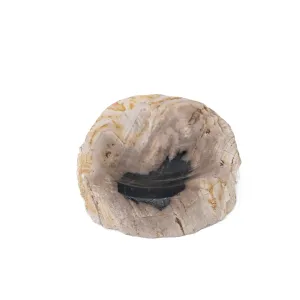 Jed Petrified Wood Soap Dish