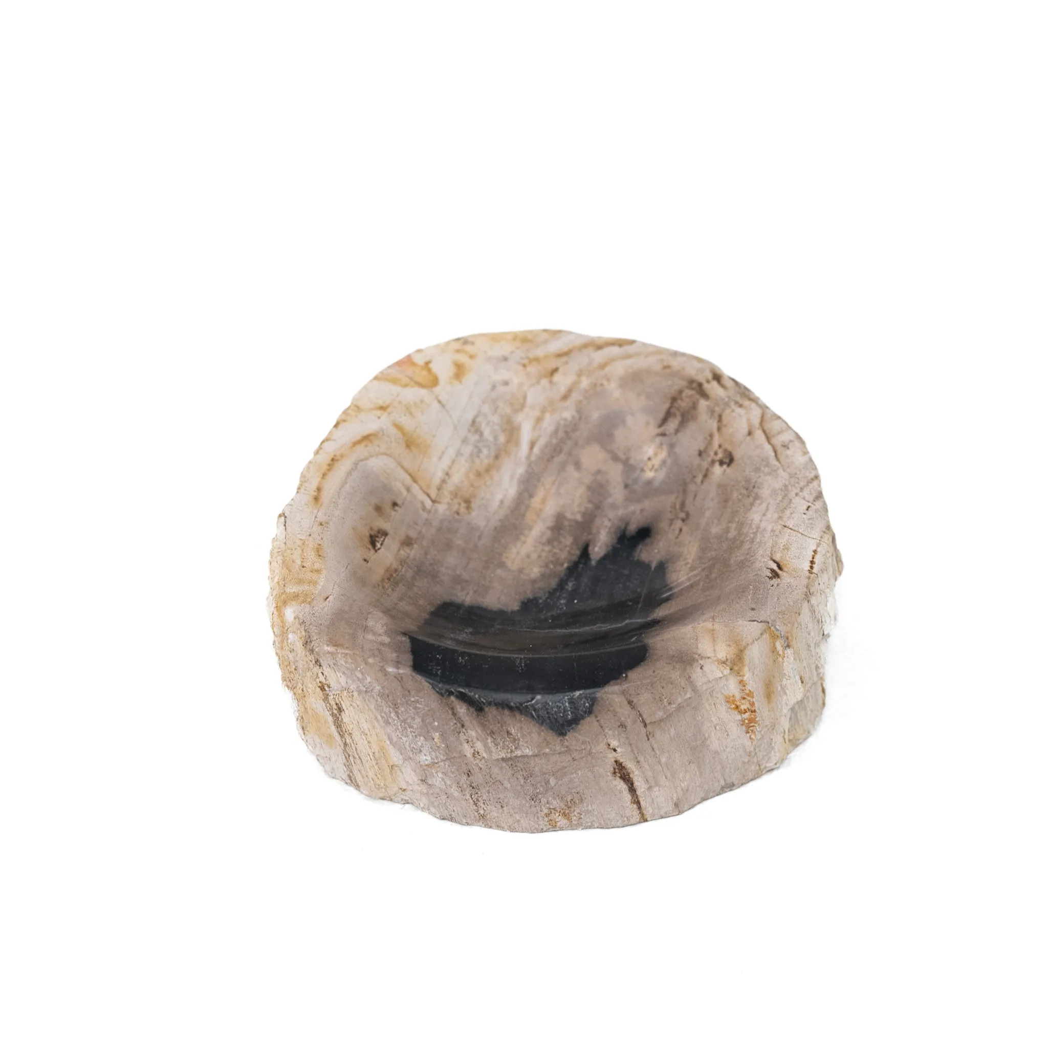Jed Petrified Wood Soap Dish