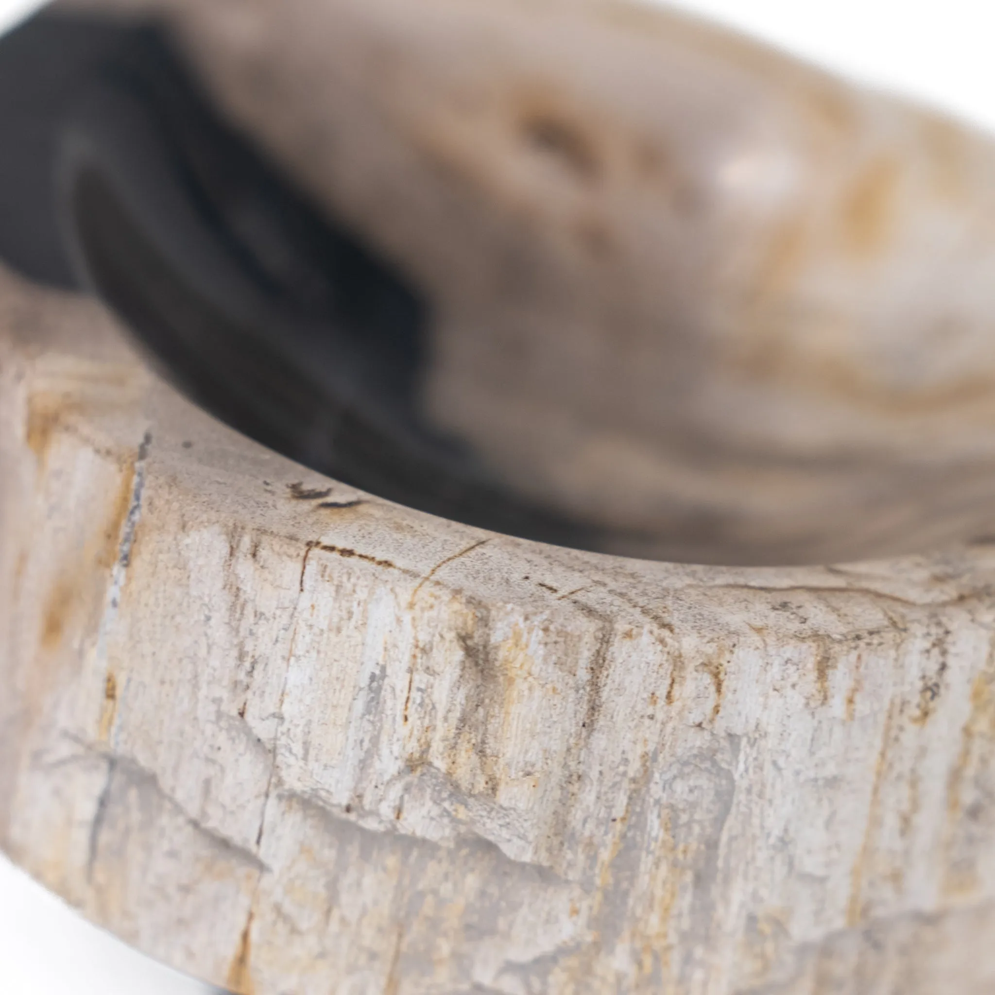 Jed Petrified Wood Soap Dish