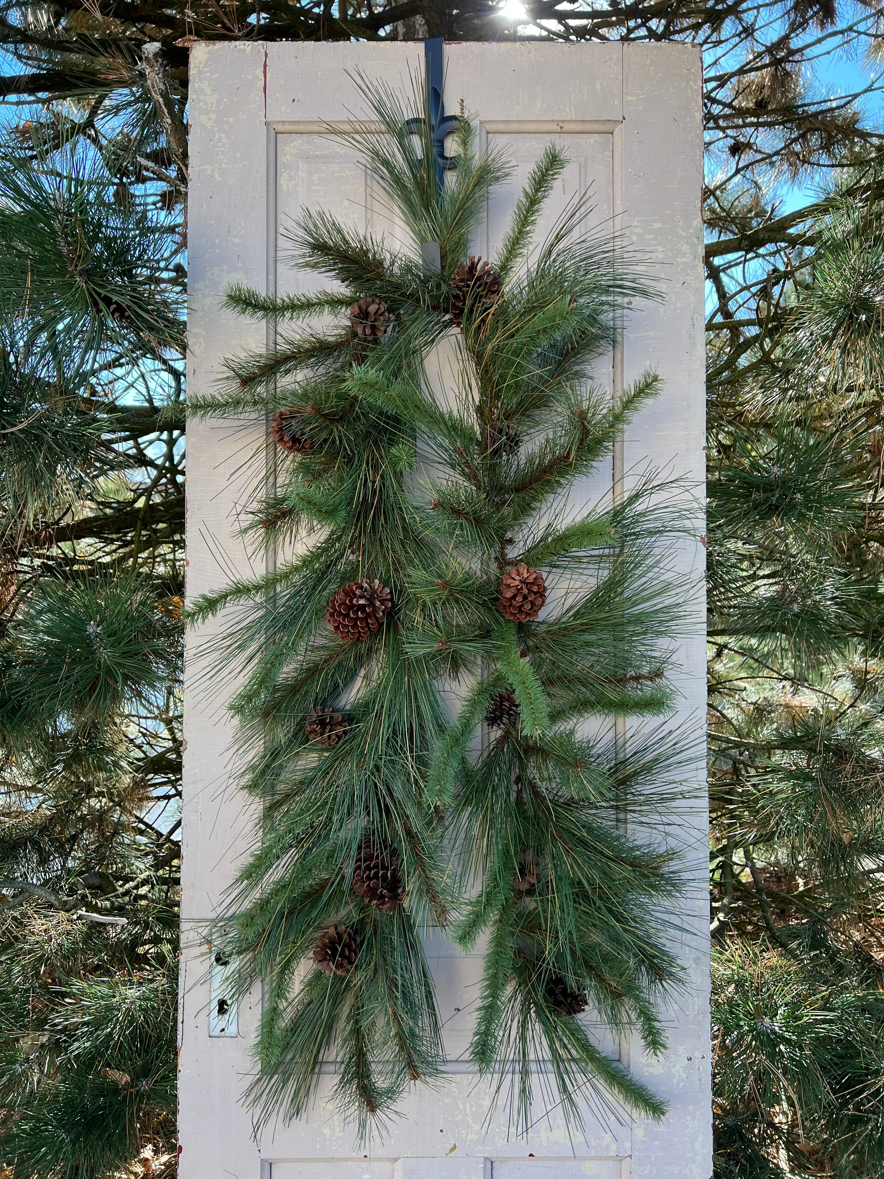Mixed Georgia Pine Garland with Pinecones