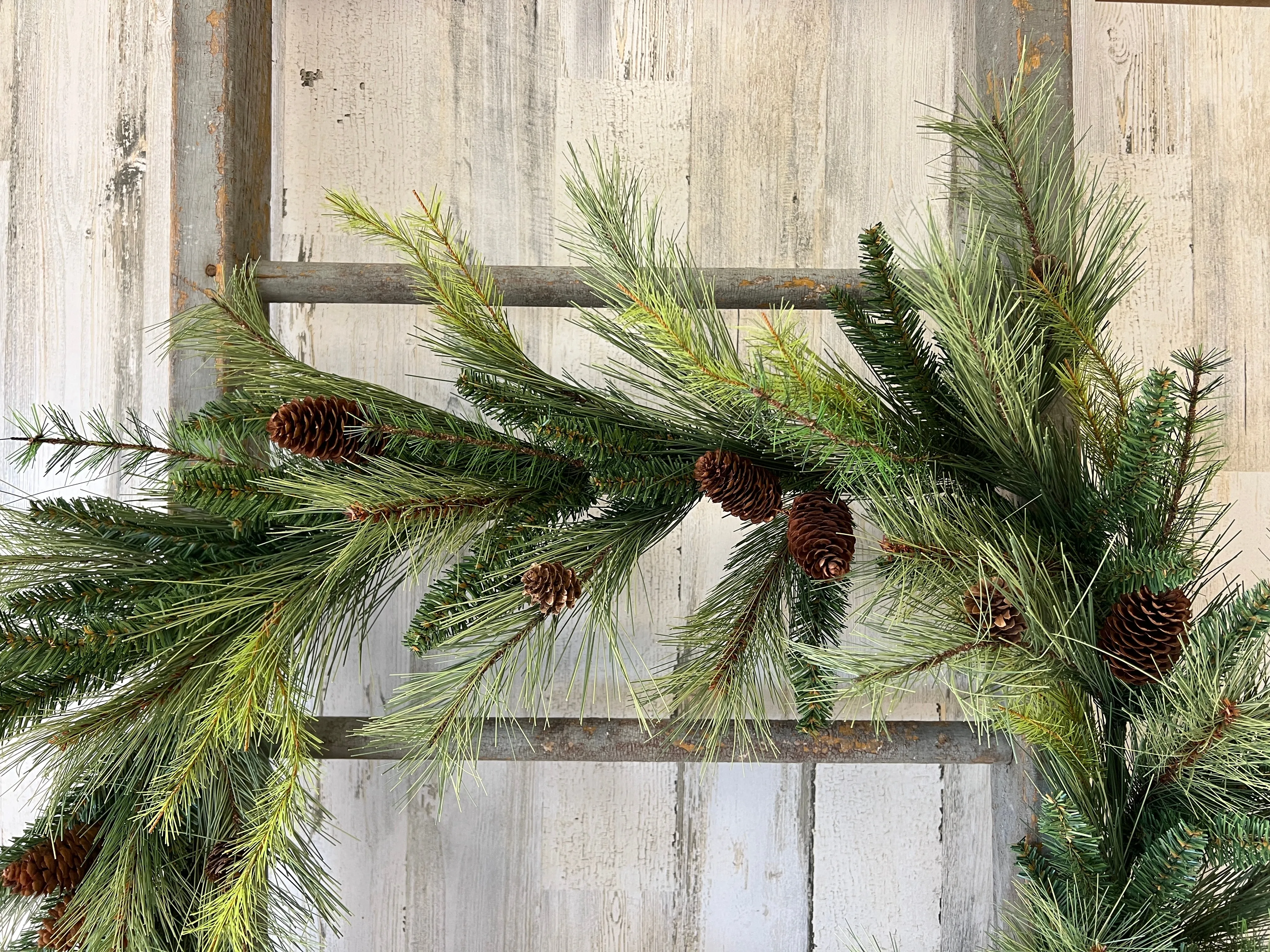 Mixed Georgia Pine Garland with Pinecones