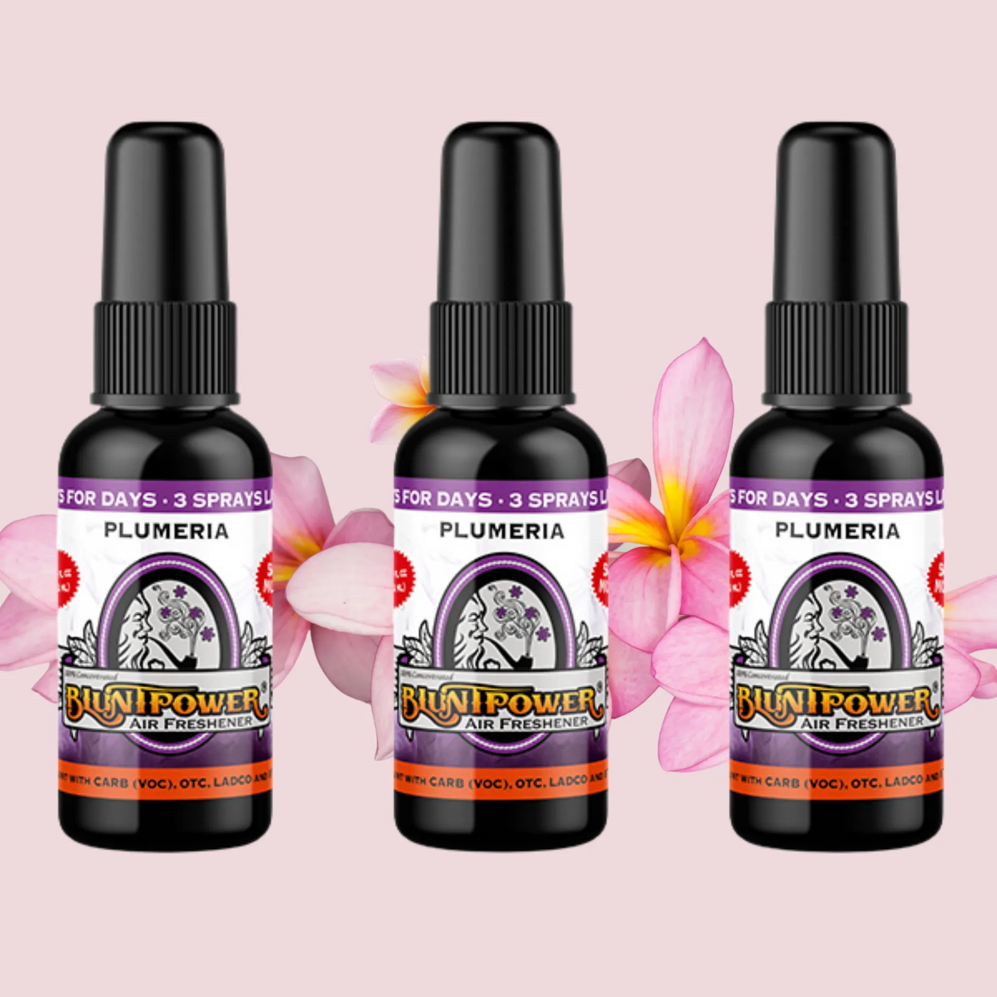 Plumeria Air Freshener Bundle (3 Pack)