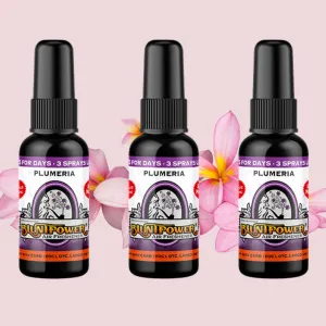 Plumeria Air Freshener Bundle (3 Pack)