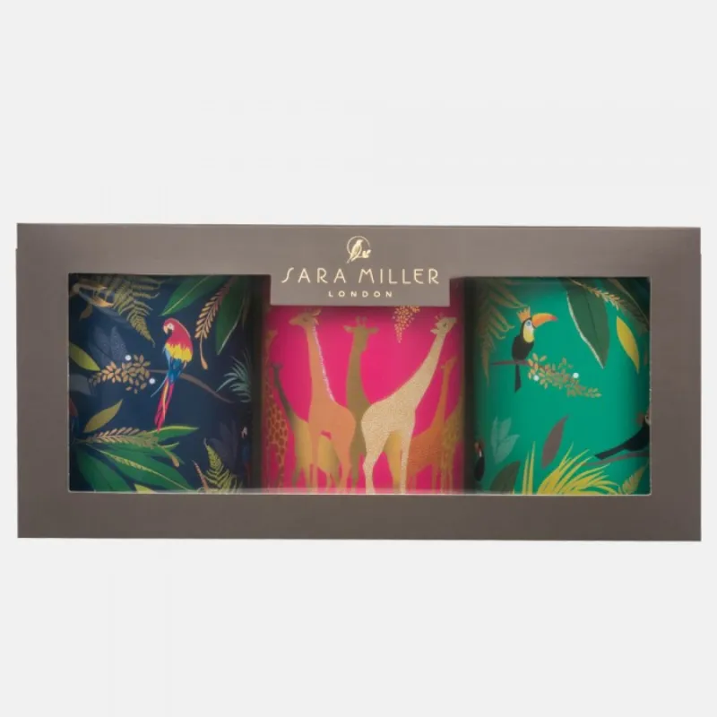 Sara Miller Biscuit Tins (Set of 3)