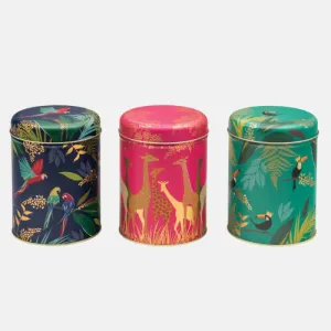Sara Miller Biscuit Tins (Set of 3)