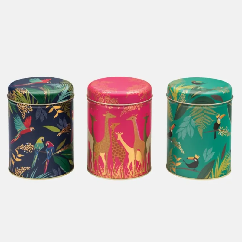 Sara Miller Biscuit Tins (Set of 3)