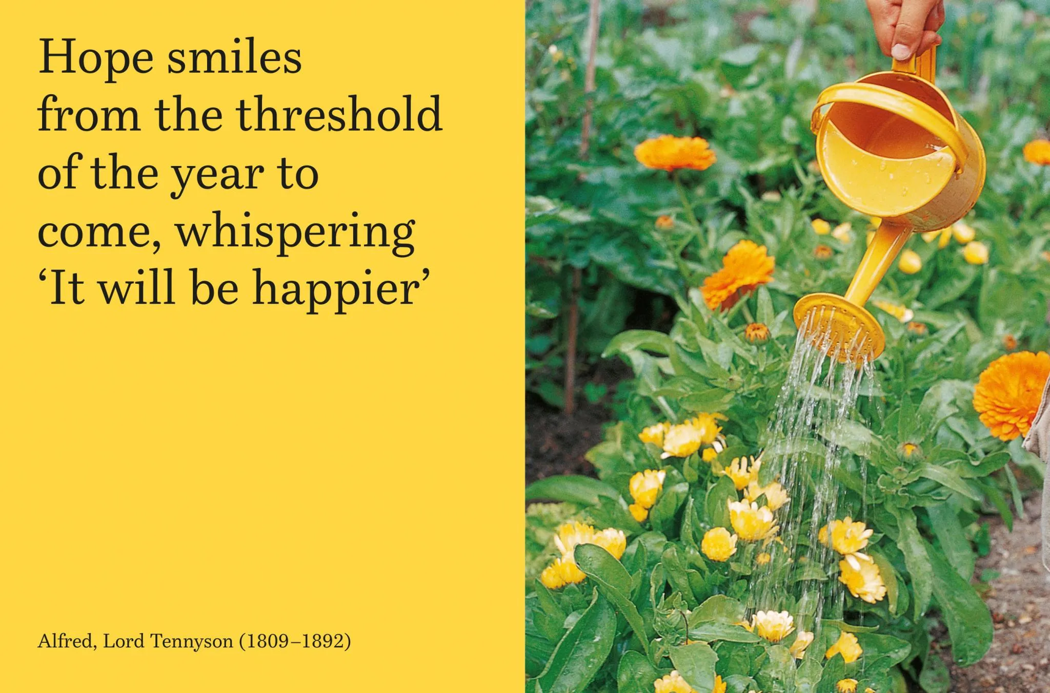 Smile: The Wisdom of Joy