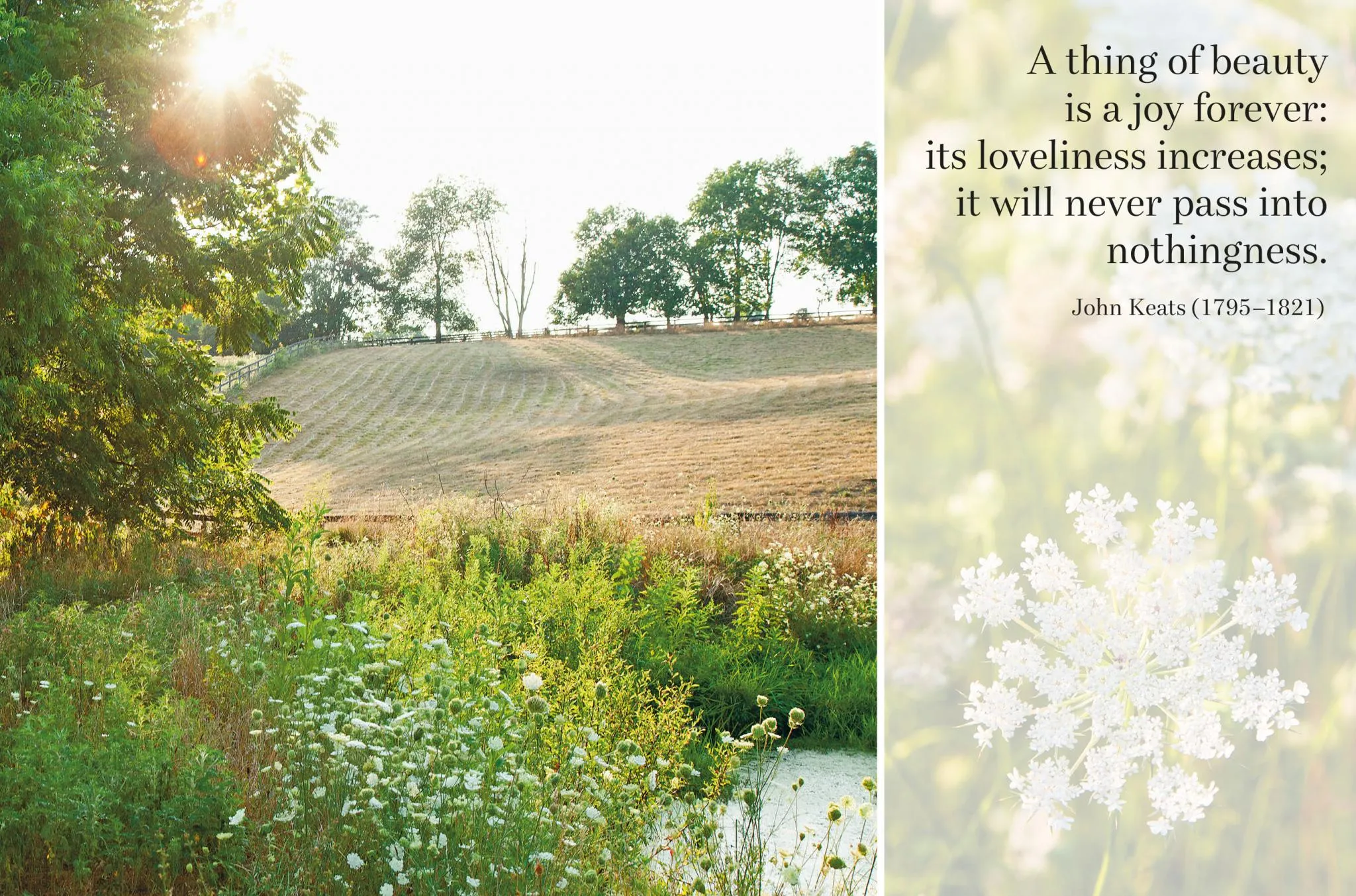 Smile: The Wisdom of Joy