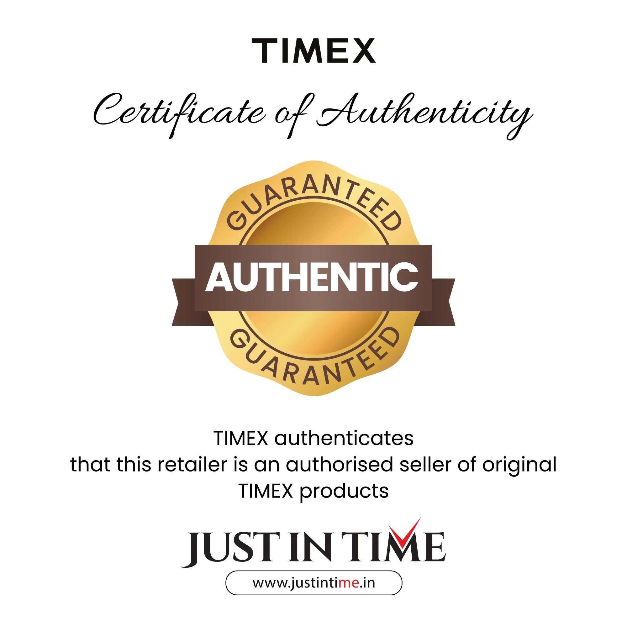 Women Silver Analog Stainless Steel Watch TWEL14503