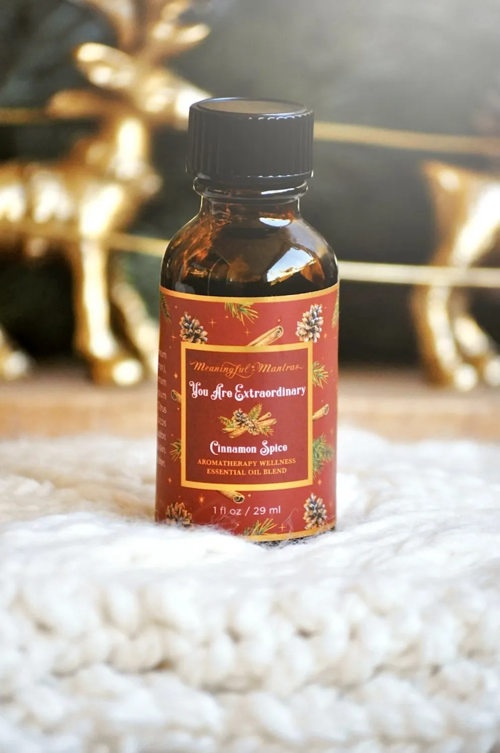 You Are Extraordinary Cinnamon Spice 1oz Oil