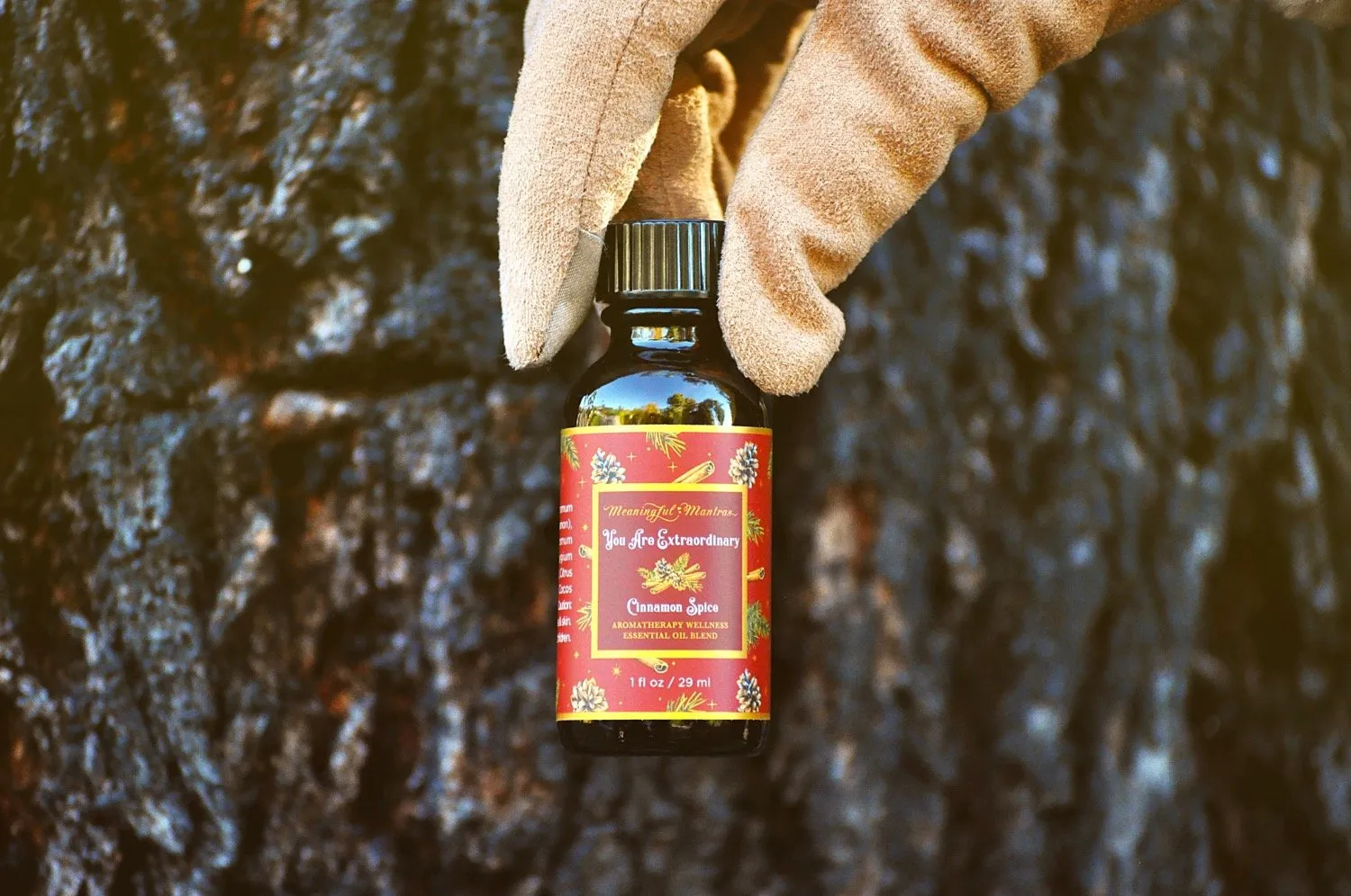 You Are Extraordinary Cinnamon Spice 1oz Oil